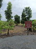 listing thumbnail image 7