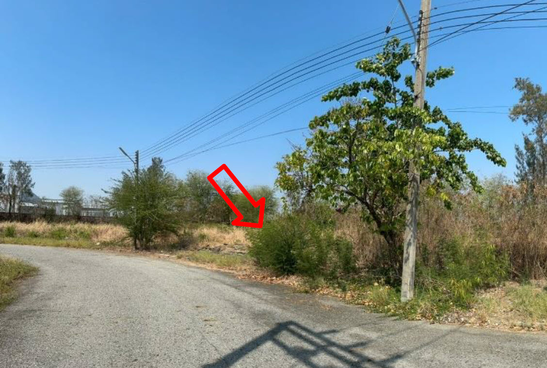 picture LAND 189.2 Sq.w. Bang Pakong Chachoengsao for 4.2M - 1/3