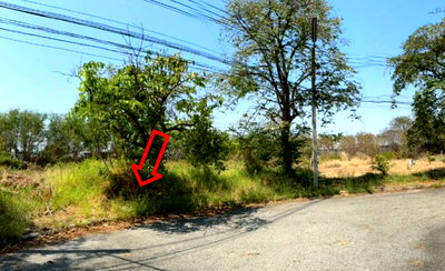 Land for sale Wellgrow Industrial Estate : LAND 254.6 Sq.w. Bang Pakong Chachoengsao for 5.6M