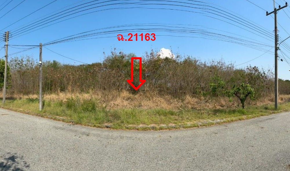picture LAND 174.1 Sq.w. Bang Pakong Chachoengsao for 3.8M - 2/3