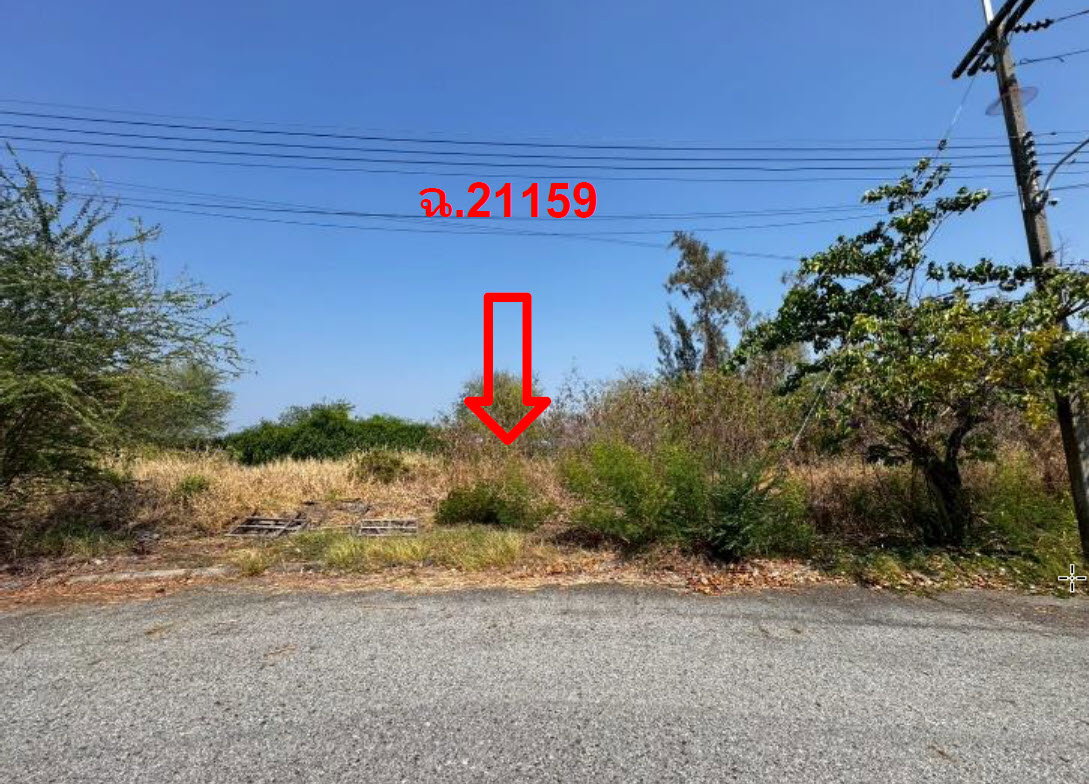 picture LAND 189.2 Sq.w. Bang Pakong Chachoengsao for 4.2M - 2/3