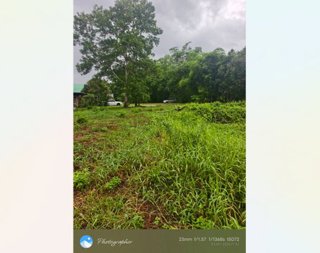 Call : 093-596-9441 Land 556 sq.wa near Chumphon city center 1.5 km, Located on Road 2009, Tak Daed, Mueang Chumphon