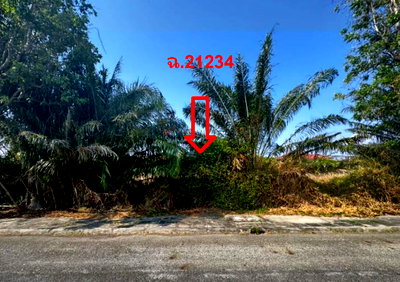 ที่ดินเปล่า 161.2 ตร.วา วิจิตราธานี อำเภอบางปะกง จังหวัดฉะเชิงเทรา 3.7M