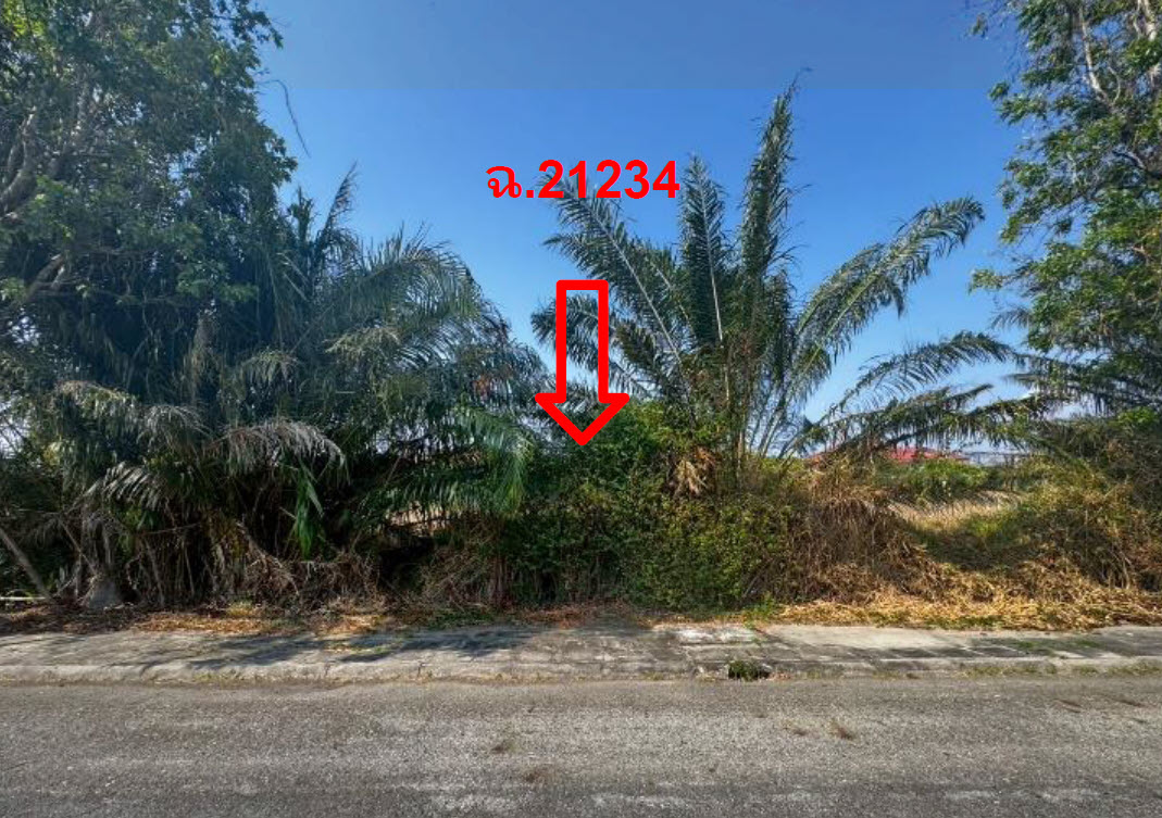 picture LAND 161.2 Sq.w. Bang Pakong Chachoengsao for 3.7M - 1/3