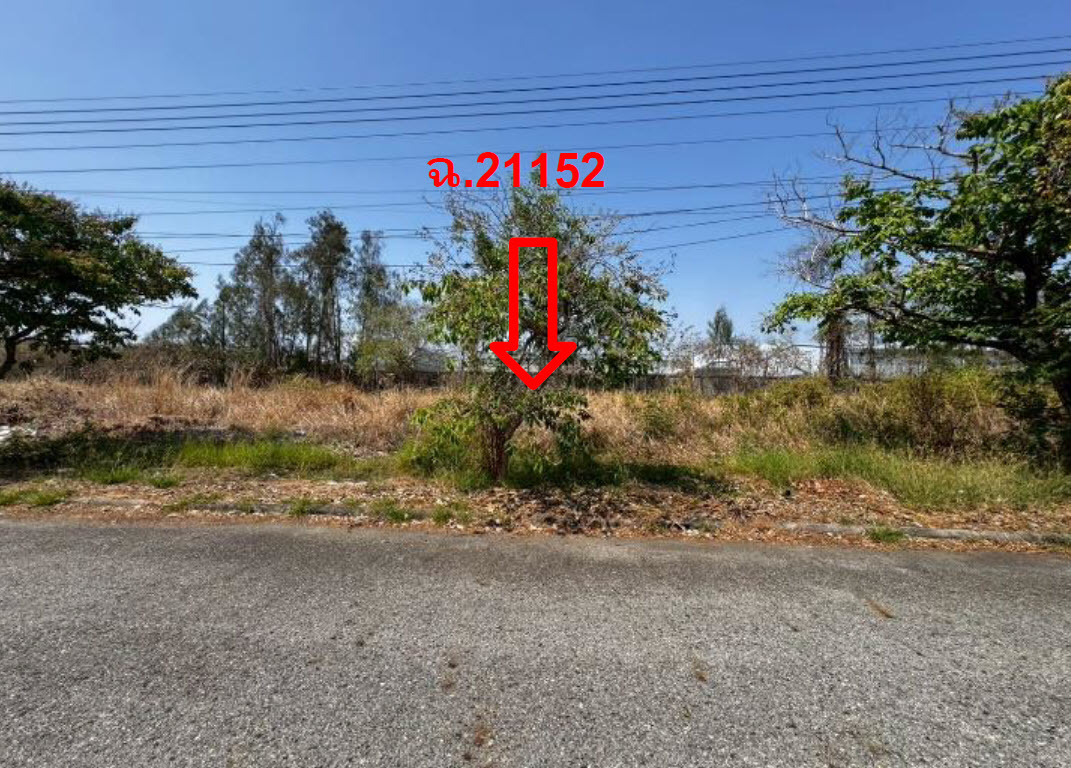 picture LAND 160.4 Sq.w. Bang Pakong Chachoengsao for 3.5M - 2/3