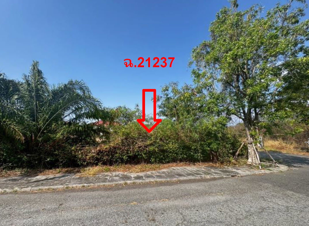 picture LAND 157 Sq.w. Bang Pakong Chachoengsao for 3.8M - 2/3