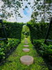 listing thumbnail image 13