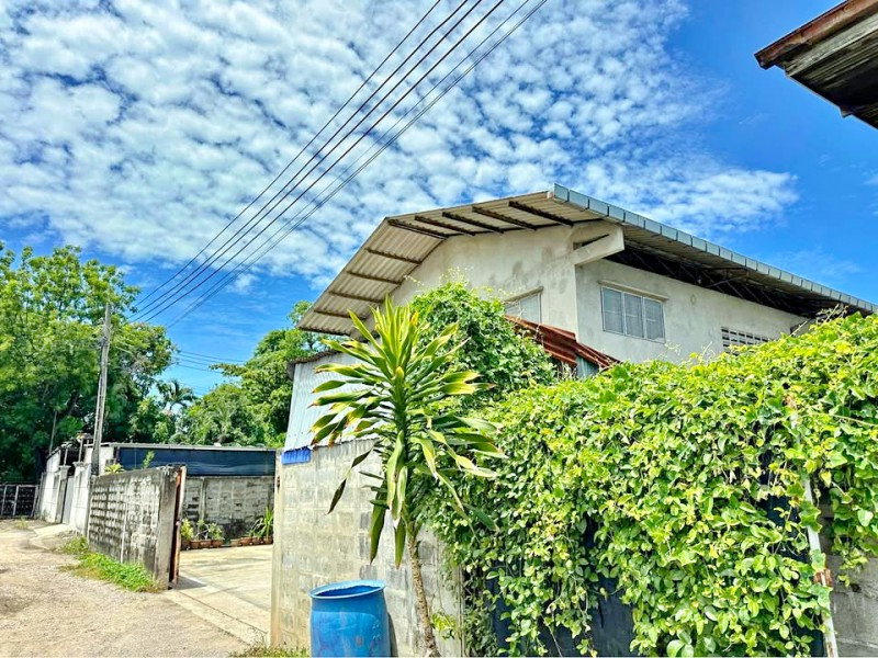 รูป สุขสวัสดิ์28-32 ใกล้รพ.บางปะกอก1 850 ม. โรงงานให้เช่า 2 ชั้น 4 นอน 2 น้ำ 114 ตร.ว. 506 ตร.ม. - รูปที่ 8/8