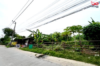 ที่ดิน ซอยอ่อนนุช (สุขุมวิท 77) : ขายที่ดิน 393 ตร.ว. ถนนศรีนครินทร์ อ่อนนุช 66 สวนหลวง ใกล้รถไฟฟ้าสายสีเหลือง