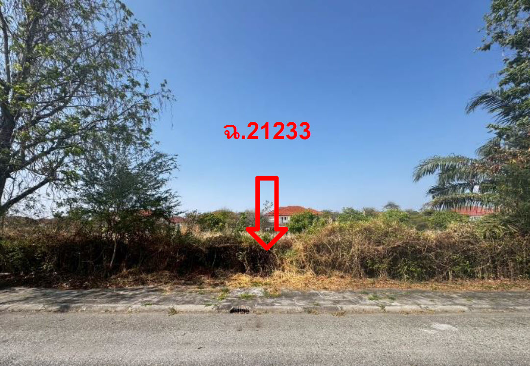picture LAND 161.2 Sq.w. Bang Pakong Chachoengsao for 3.7M - 2/3