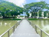 listing thumbnail image 34