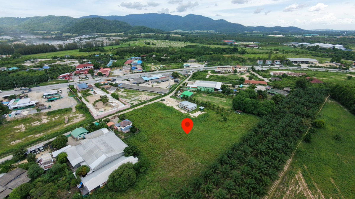 รูป ขายที่ดินสวย ถูกกว่าตลาด 25% ขนาด 5-3-81 ไร่ ใกล้เส้น 3138 โลตัสบ้านบึง โคตรคุ้ม เหมาะลงทุน - รูปที่ 4/5