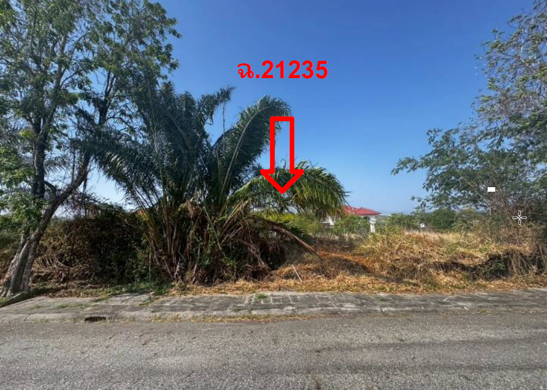 picture LAND 161.2 Sq.w. Bang Pakong Chachoengsao for 3.7M - 2/3