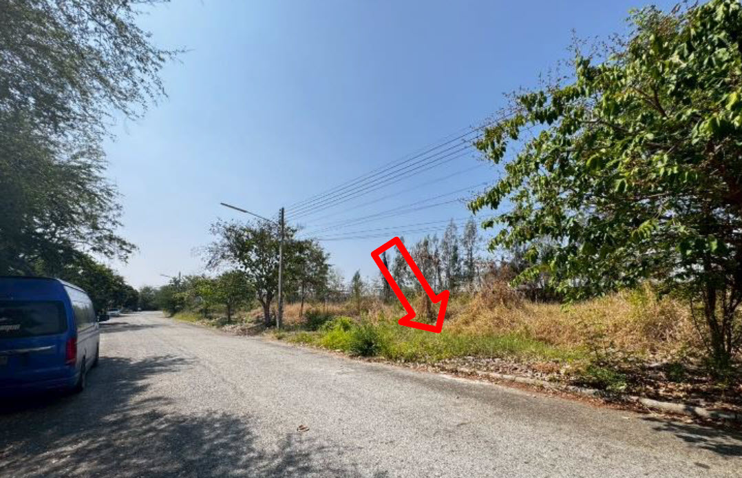 รูป ที่ดินเปล่า 160.6 ตร.วา วิจิตราธานี อำเภอบางปะกง จังหวัดฉะเชิงเทรา 3.5M - รูปที่ 2/3