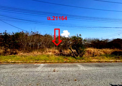 Land for sale Wellgrow Industrial Estate : LAND 157.8 Sq.w. Bang Pakong Chachoengsao for 3.5M