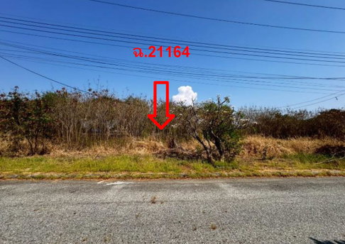 LAND 157.8 Sq.w. Bang Pakong Chachoengsao for 3.5M