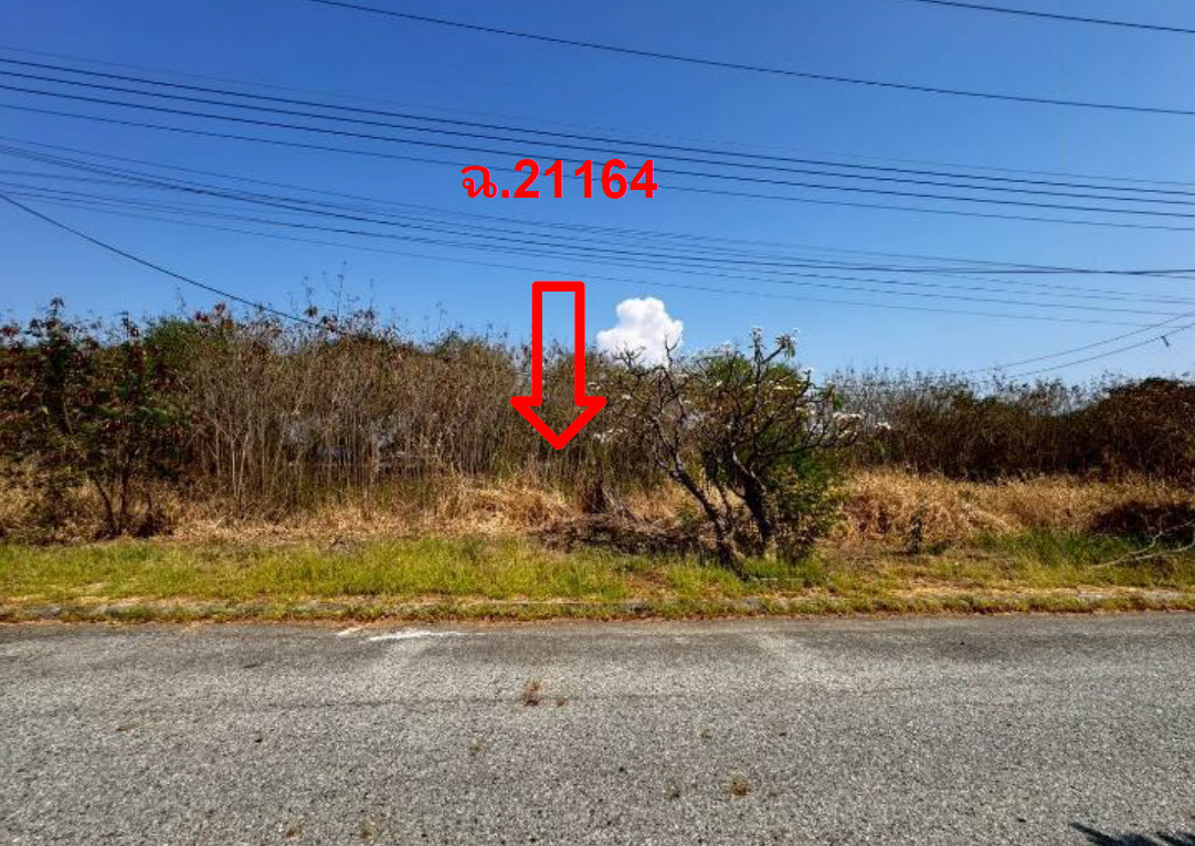 picture LAND 157.8 Sq.w. Bang Pakong Chachoengsao for 3.5M - 1/3