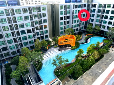 คอนโดให้เช่า : 🌿 [ห้องมุม วิวสระ Premium Room] ปล่อยเช่า Kave Luminous Bangmod  (เคฟ ลูมินัส บางมด)