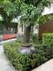 listing thumbnail image 15
