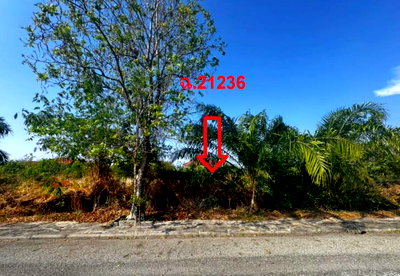 Land for sale Wellgrow Industrial Estate : LAND 161.2 Sq.w. Bang Pakong Chachoengsao for 3.7M