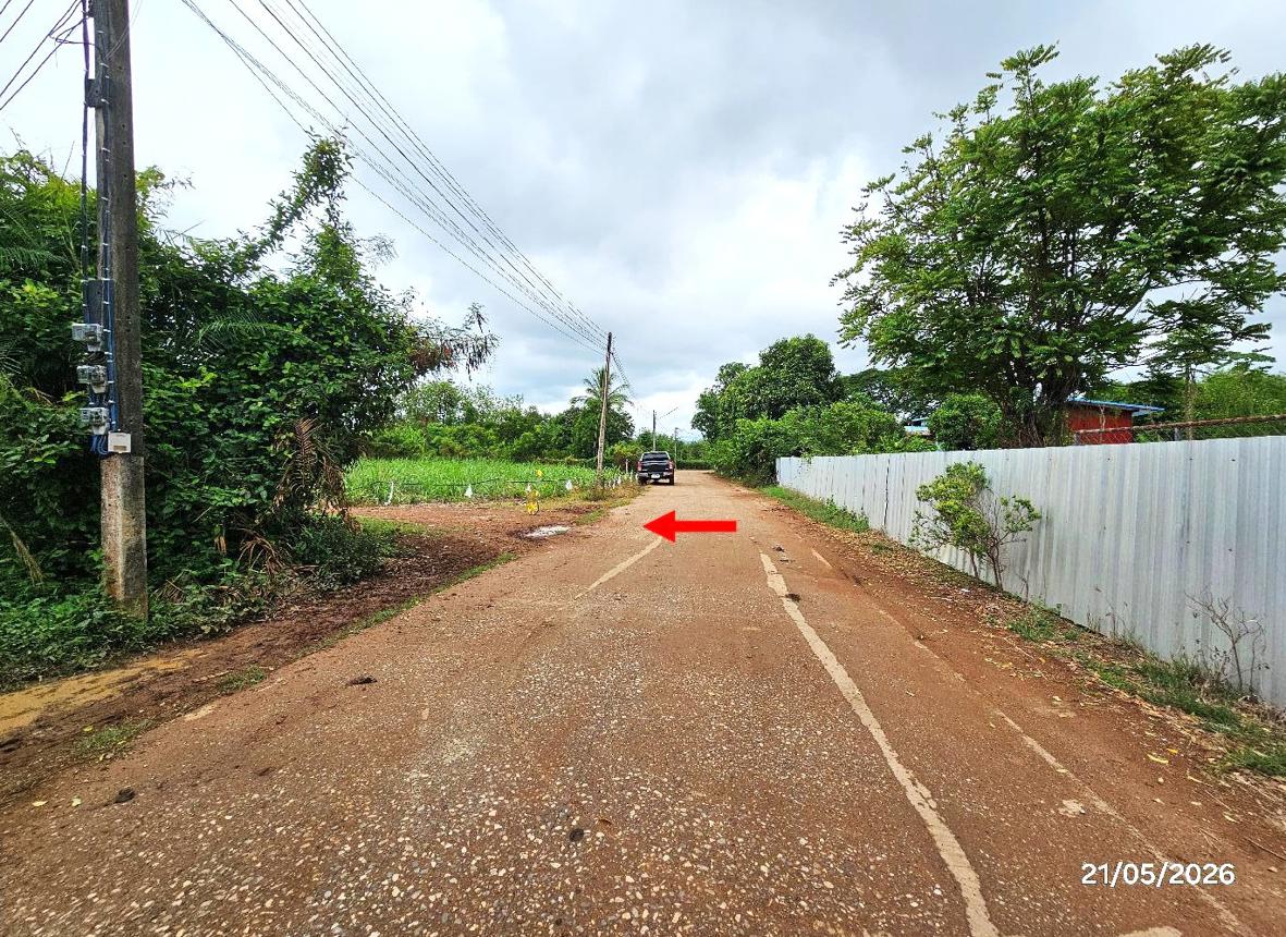 picture LAND 271 Sq.w. Tron Uttaradit for 326,000 - 16/22