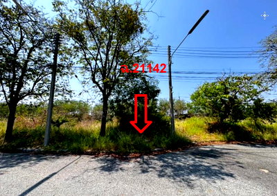 LAND 151.9 Sq.w. Bang Pakong Chachoengsao for 3.3M