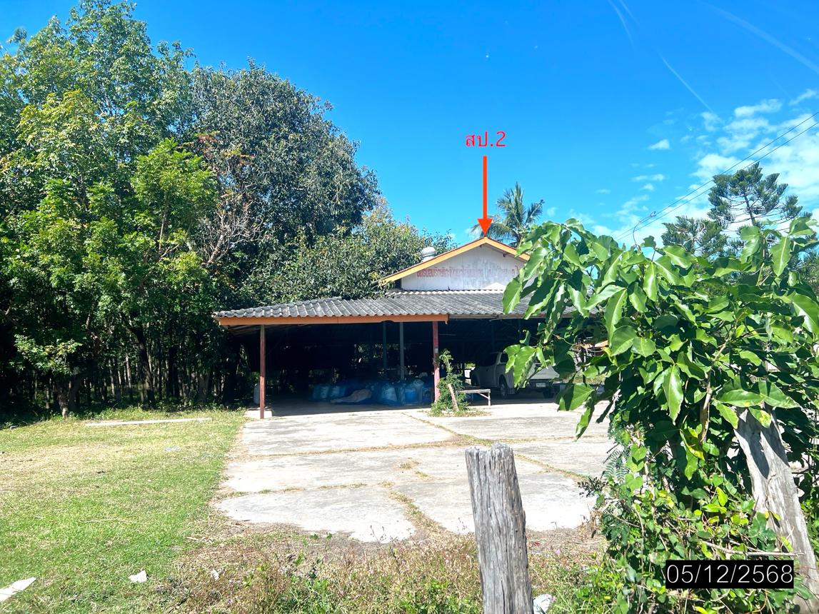 รูป บ้านเดี่ยว 9959 ตร.วา ไพรบึง ศรีสะเกษ 4.3M - รูปที่ 16/32