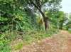 listing thumbnail image 18