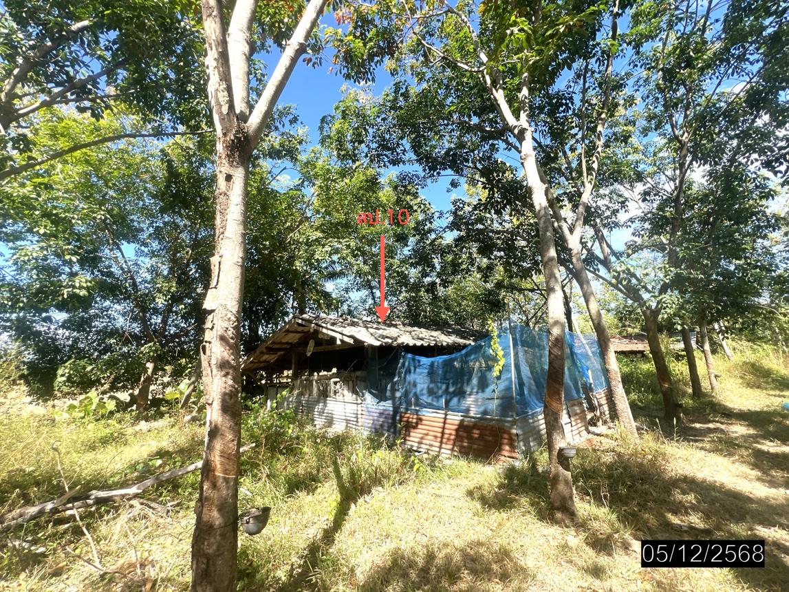 รูป บ้านเดี่ยว 9959 ตร.วา ไพรบึง ศรีสะเกษ 4.3M - รูปที่ 24/32