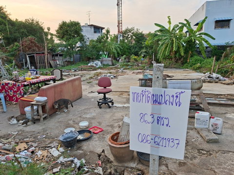 Cheap land for sale, 86.3 square wah, already filled and leveled, in the Army Welfare Housing Estate, Chaengwattana.