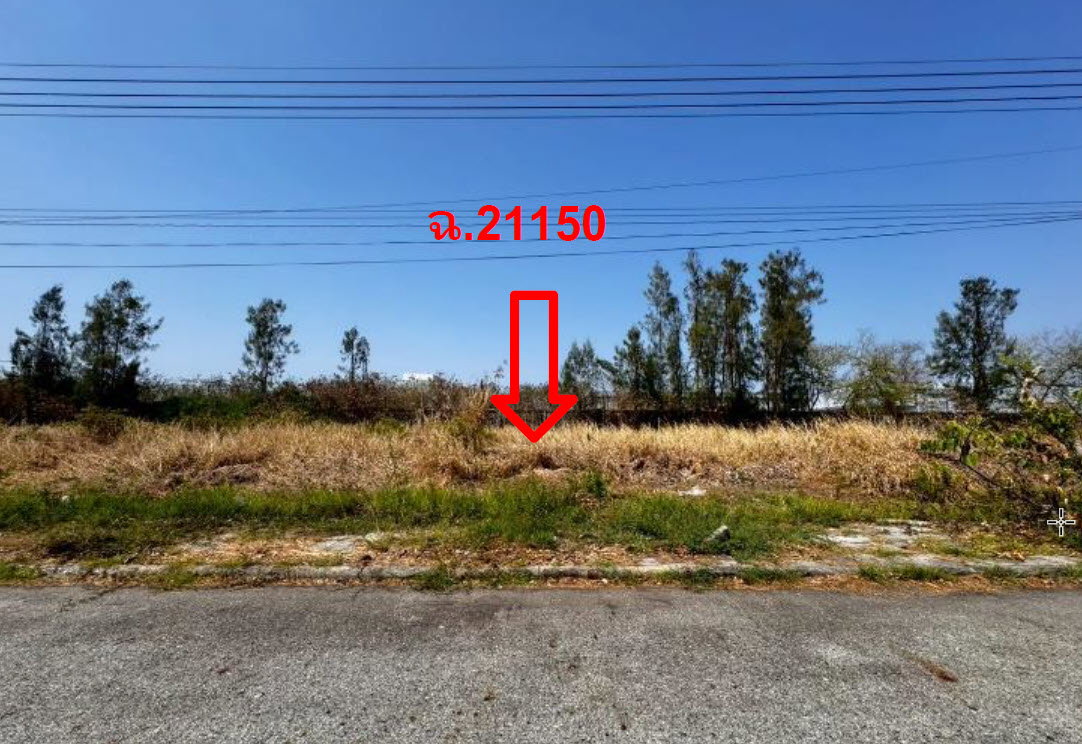 picture LAND 159.8 Sq.w. Bang Pakong Chachoengsao for 3.5M - 2/3
