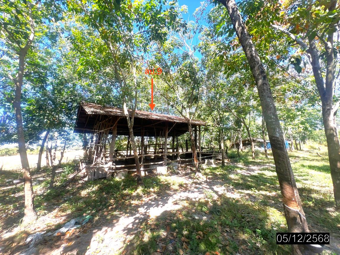 รูป บ้านเดี่ยว 9959 ตร.วา ไพรบึง ศรีสะเกษ 4.3M - รูปที่ 23/32