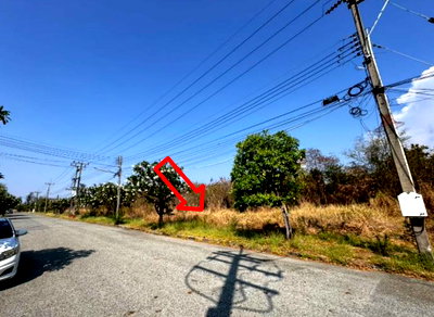 Land for sale Wellgrow Industrial Estate : LAND 156.7 Sq.w. Bang Pakong Chachoengsao for 3.4M