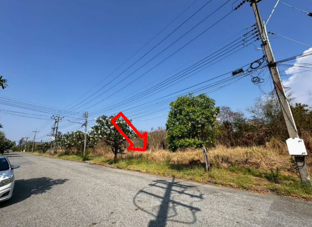 picture LAND 156.7 Sq.w. Bang Pakong Chachoengsao for 3.4M - 1/3