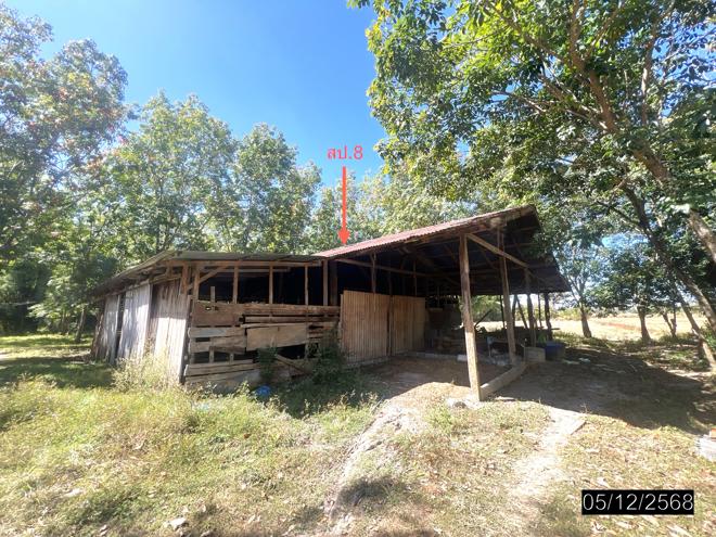 รูป บ้านเดี่ยว 9959 ตร.วา ไพรบึง ศรีสะเกษ 4.3M - รูปที่ 8/32