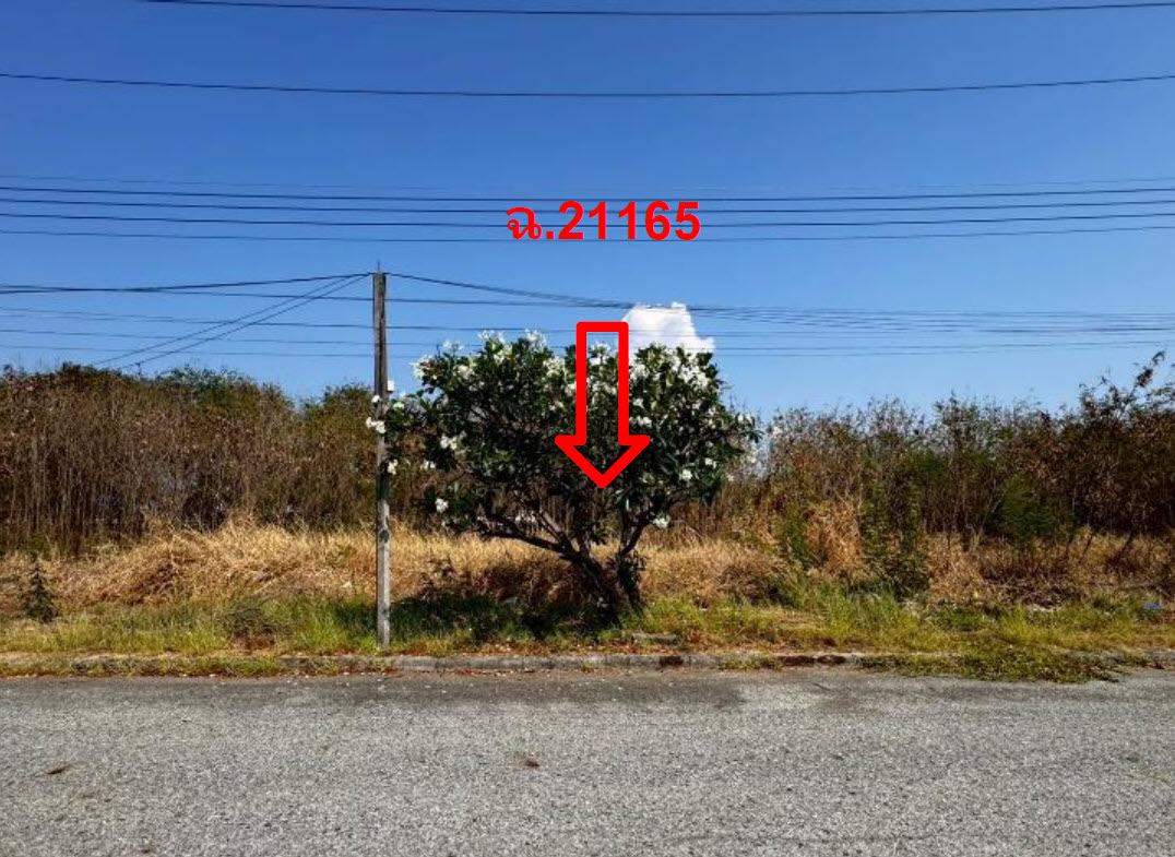 รูป ที่ดินเปล่า 157.4 ตร.วา วิจิตราธานี อำเภอบางปะกง จังหวัดฉะเชิงเทรา 3.5M - รูปที่ 1/3