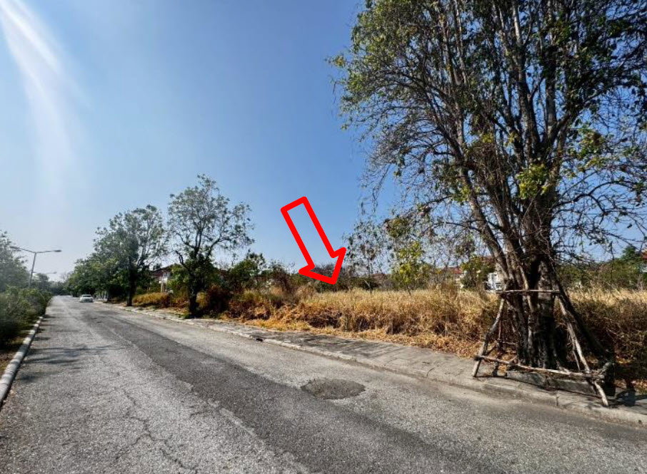 picture LAND 161.2 Sq.w. Bang Pakong Chachoengsao for 3.7M - 2/3