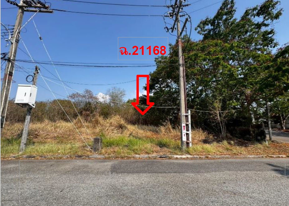 picture LAND 157.4 Sq.w. Bang Pakong Chachoengsao for 3.8M - 2/3