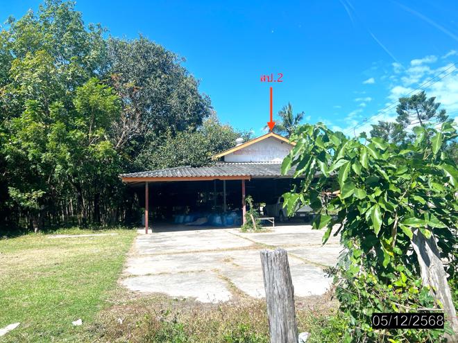 รูป บ้านเดี่ยว 9959 ตร.วา ไพรบึง ศรีสะเกษ 4.3M - รูปที่ 2/32