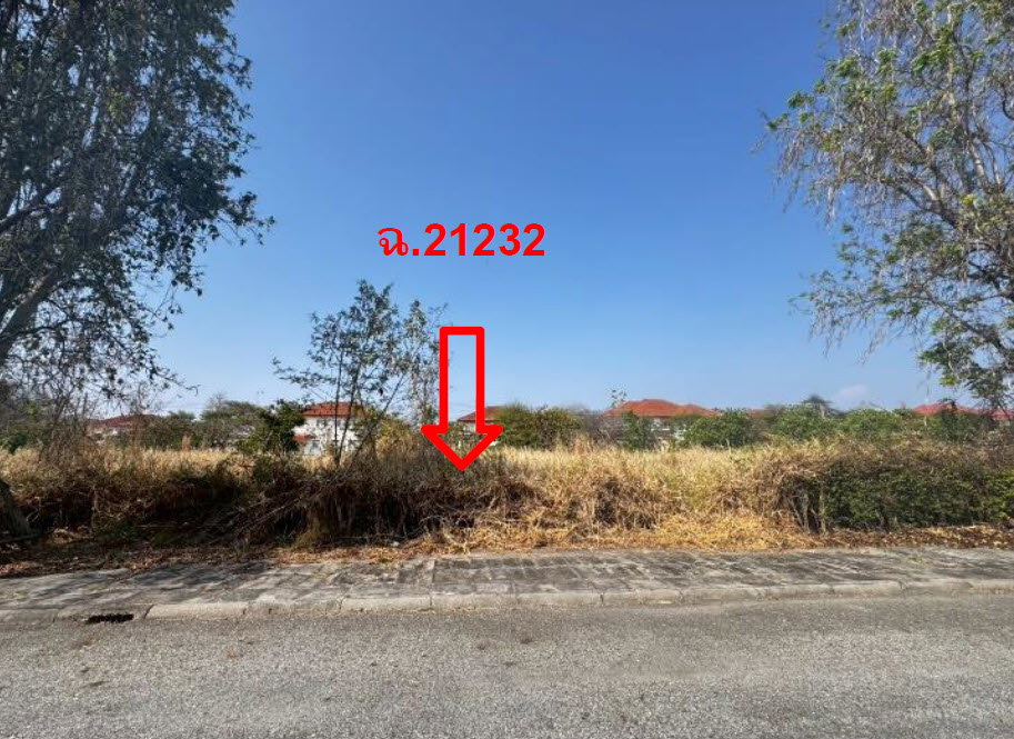 picture LAND 161.2 Sq.w. Bang Pakong Chachoengsao for 3.7M - 2/3