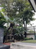 listing thumbnail image 23