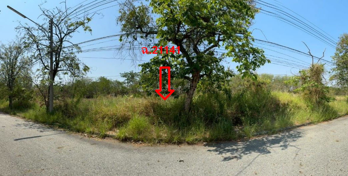 picture LAND 158.8 Sq.w. Bang Pakong Chachoengsao for 3.5M - 2/3