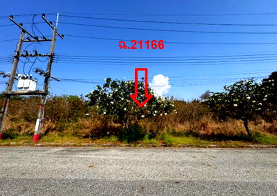 LAND 156.8 Sq.w. Bang Pakong Chachoengsao for 3.5M
