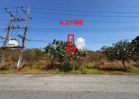 LAND 156.8 Sq.w. Bang Pakong Chachoengsao for 3.5M