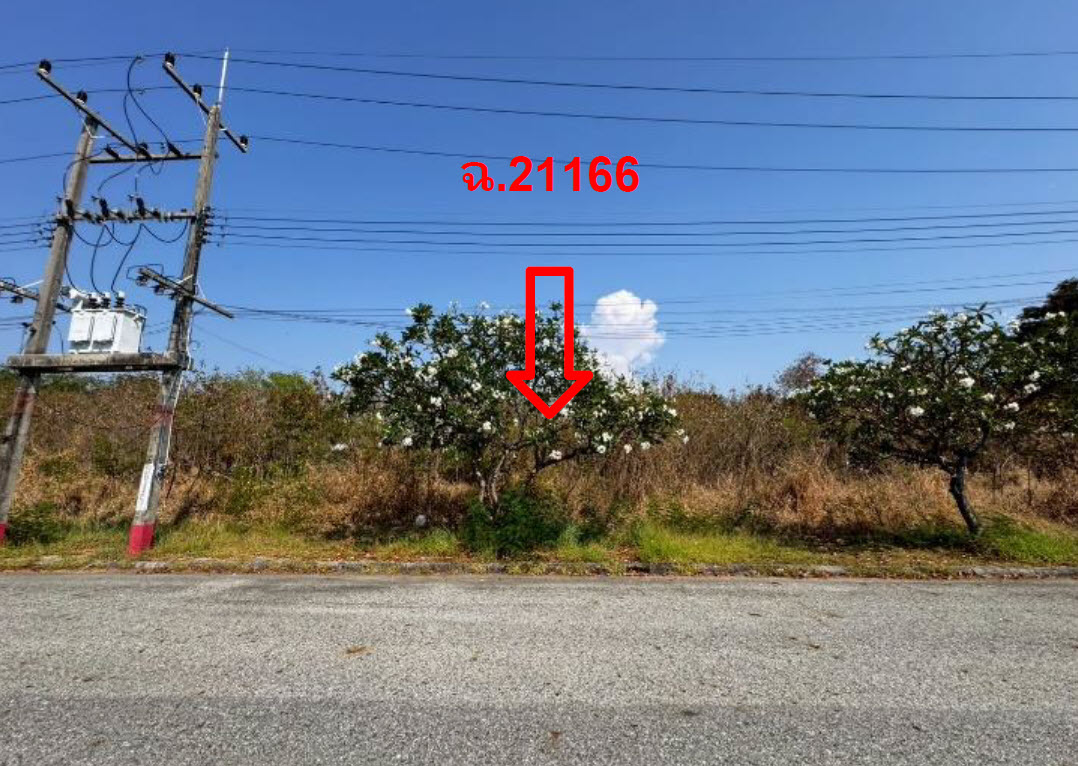 picture LAND 156.8 Sq.w. Bang Pakong Chachoengsao for 3.5M - 1/3