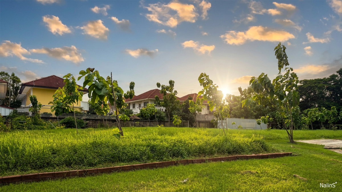 รูป ขายที่ดินสร้างบ้าน 89 ตร.วา Forest Park คลองสามวา ใกล้ IFB ซาฟารีเวิลด์ กรุงเทพฯ - รูปที่ 13/15