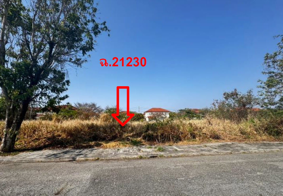 picture LAND 161.2 Sq.w. Bang Pakong Chachoengsao for 3.7M - 2/3