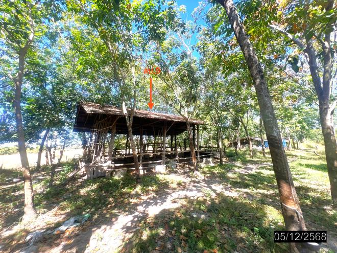 รูป บ้านเดี่ยว 9959 ตร.วา ไพรบึง ศรีสะเกษ 4.3M - รูปที่ 9/32