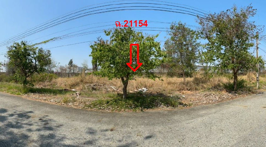 picture LAND 160.5 Sq.w. Bang Pakong Chachoengsao for 3.5M - 2/3