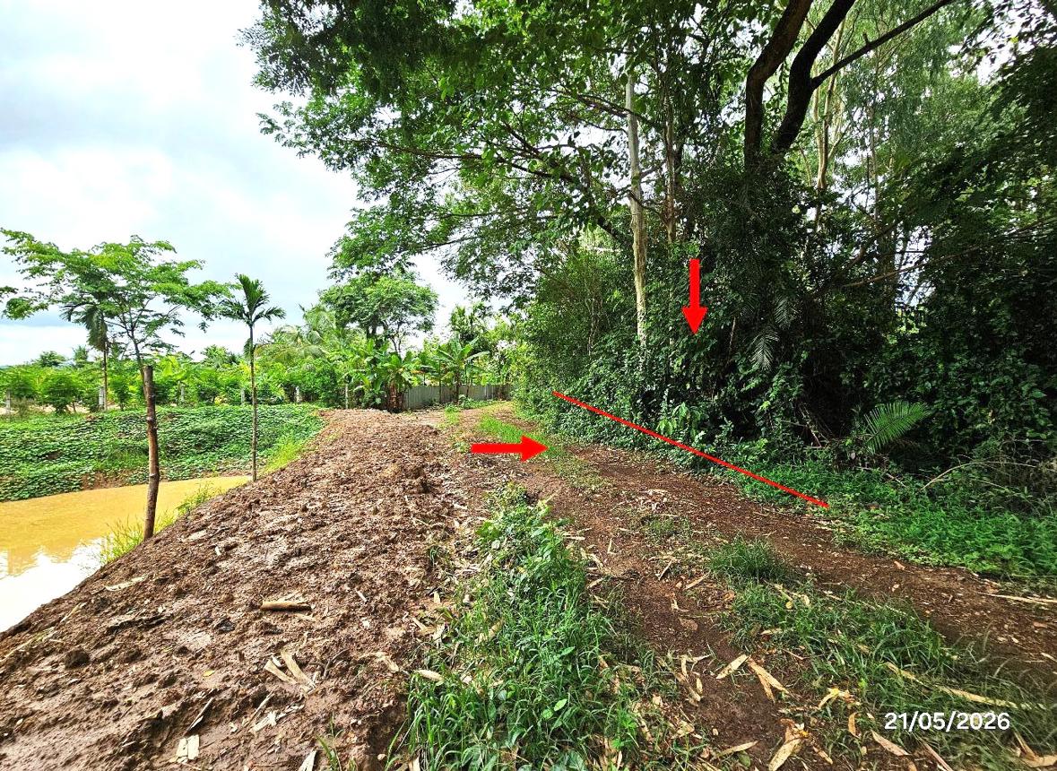 picture LAND 271 Sq.w. Tron Uttaradit for 326,000 - 12/22